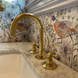 Unlacquered brass bathroom faucet with round handles