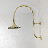 curved arm showerhead