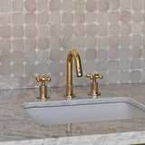 unlacquered brass bathroom faucet short spout