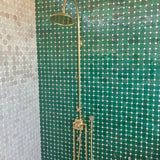 unlacquered brass thermostatic shower system with handheld