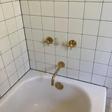 unlacquered brass bathtub faucet