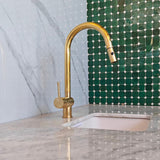 Unlacquered Brass kitchen faucet with integrated sprayer