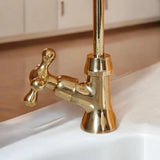 unlacquered brass single hole water filter faucet