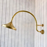 unlacquered brass shower head with curved extension