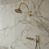 unlacquered brass shower system with handshower