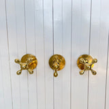 unlacquered brass wall mounted shower