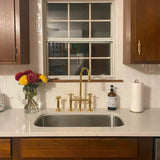 unlacquered brass kitchen faucet with sprayer 